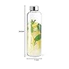 Treo by Milton Clarion Borosilicate Glass Fridge Water Bottle with Leak-Proof Airtight Stainless Steel Lid, 760 ml, Transparent for Hotel, Travel, Office, Home