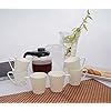 Tea Cups Set of 6 Bone China Gold Line Mug for Tea/Coffee Green Tea Cups 160 ML